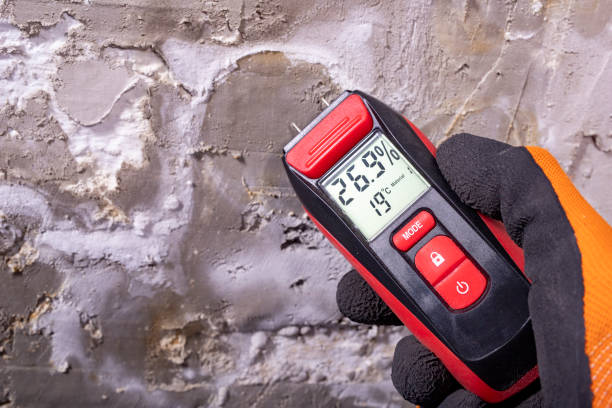 Best Home Mold Removal  in Zelienople, PA