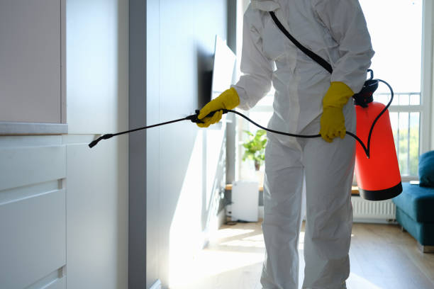 Best Office Mold Removal Services  in Zelienople, PA