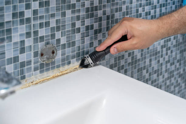 Best Mold Damage Repair  in Zelienople, PA
